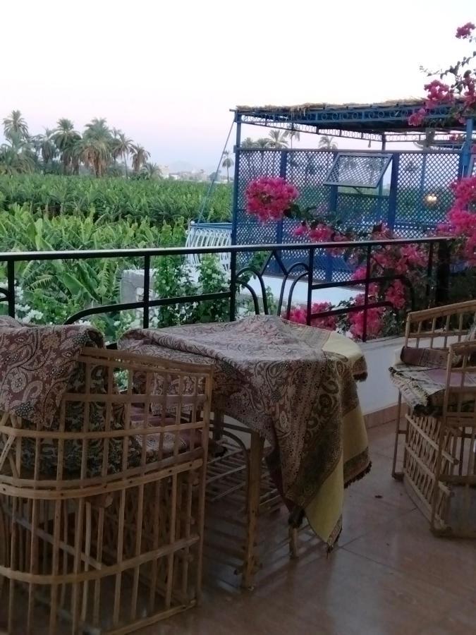 Villa Quiet Place Luxor Exterior photo