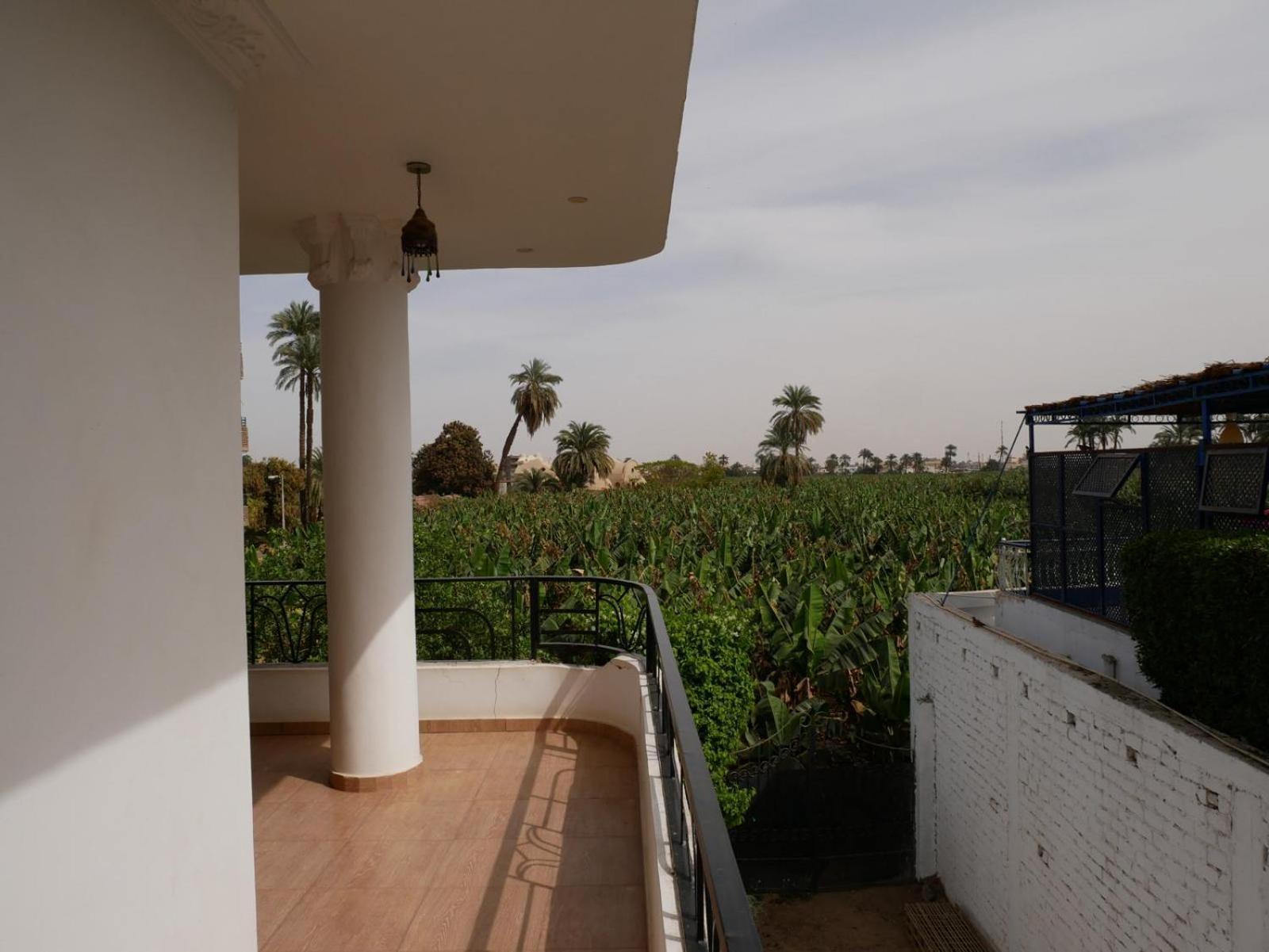 Villa Quiet Place Luxor Exterior photo